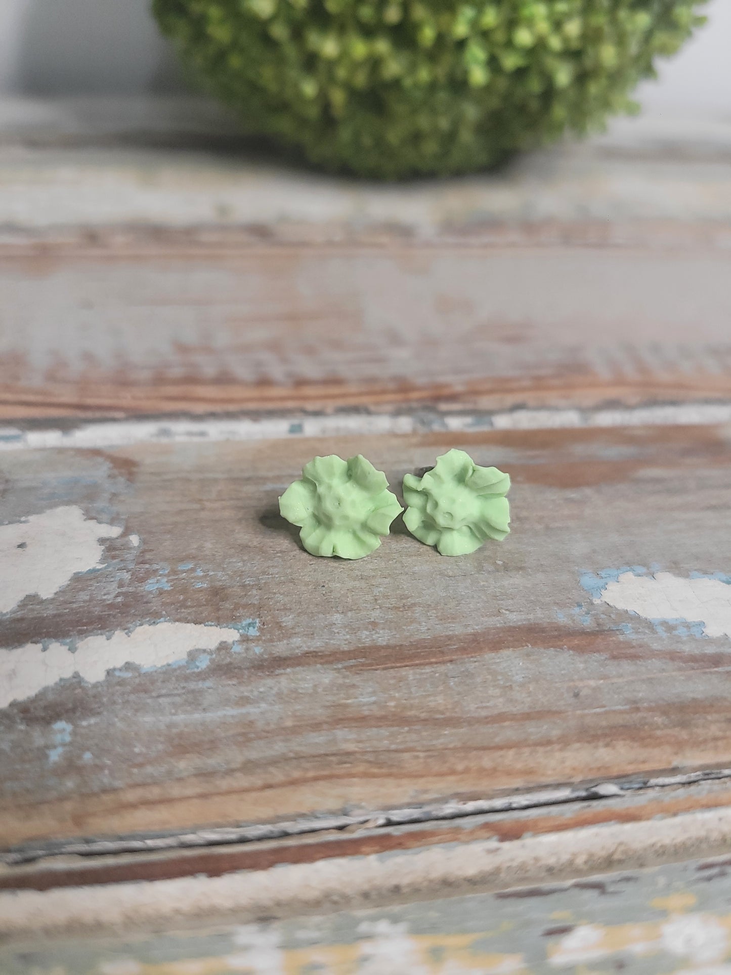 Primrose Studs