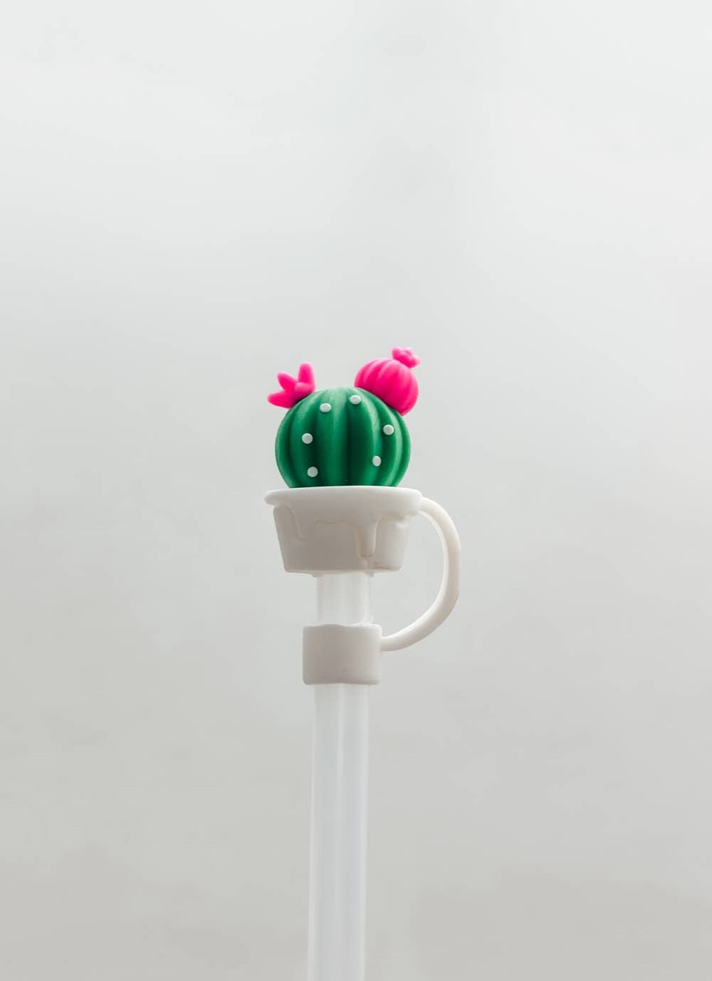 Standard Size Straw Covers