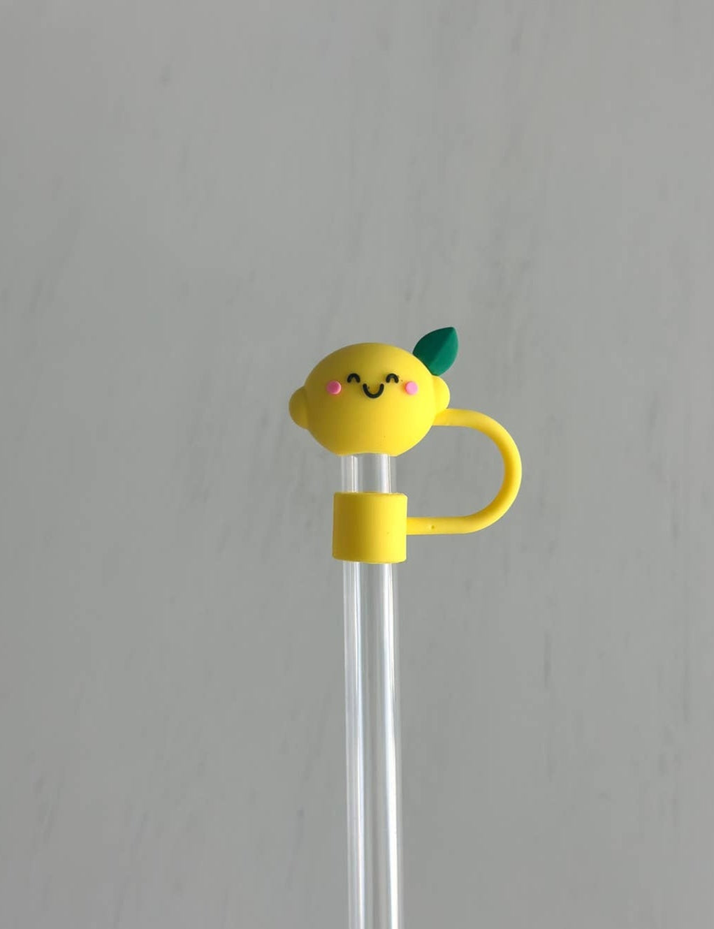 10mm Straw Covers (Stanley/Tumbler)